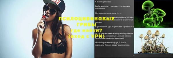 дживик Баксан
