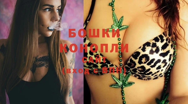 дживик Баксан