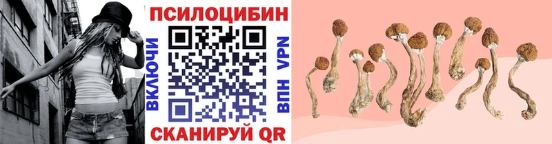 кракен онион  хочу   Балтийск  Галлюциногенные грибы MAGIC MUSHROOMS 