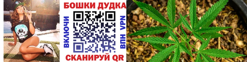 купить наркотик  Балтийск  Бошки Шишки планчик 
